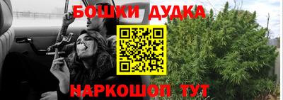 индика Комсомольск-на-Амуре