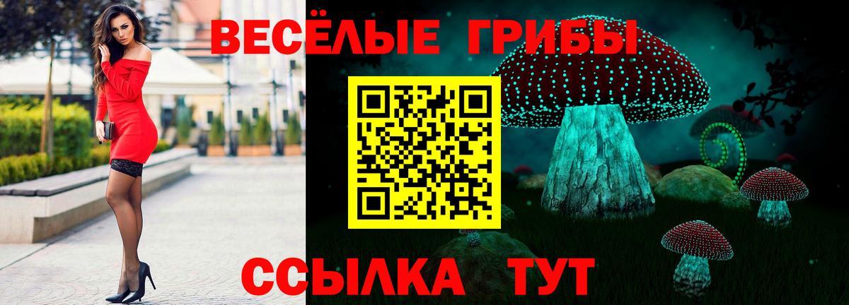 Псилоцибиновые грибы MAGIC MUSHROOMS  Псилоцибиновые грибы Magic Shrooms  Вход с VPN  Комсомольск-на-Амуре 